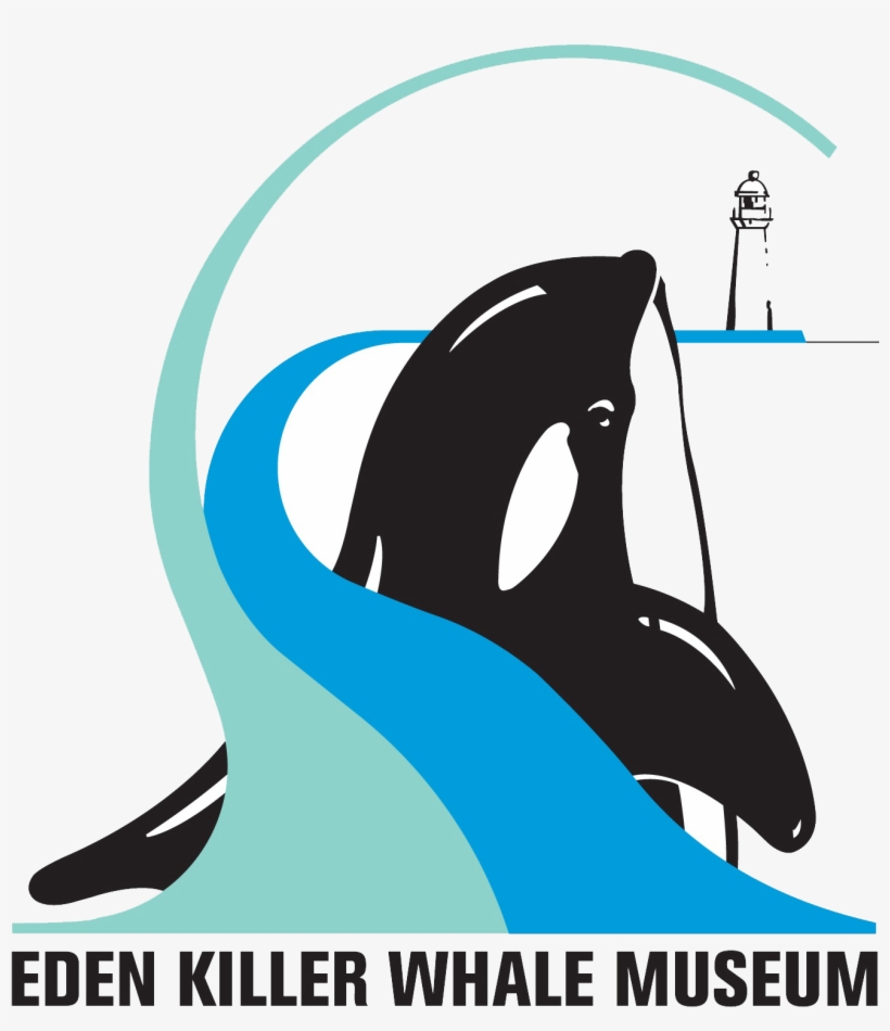 Killer Whale, transparent png