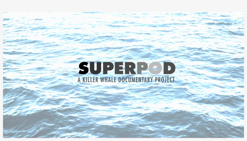 Mozambique Drowning, transparent png