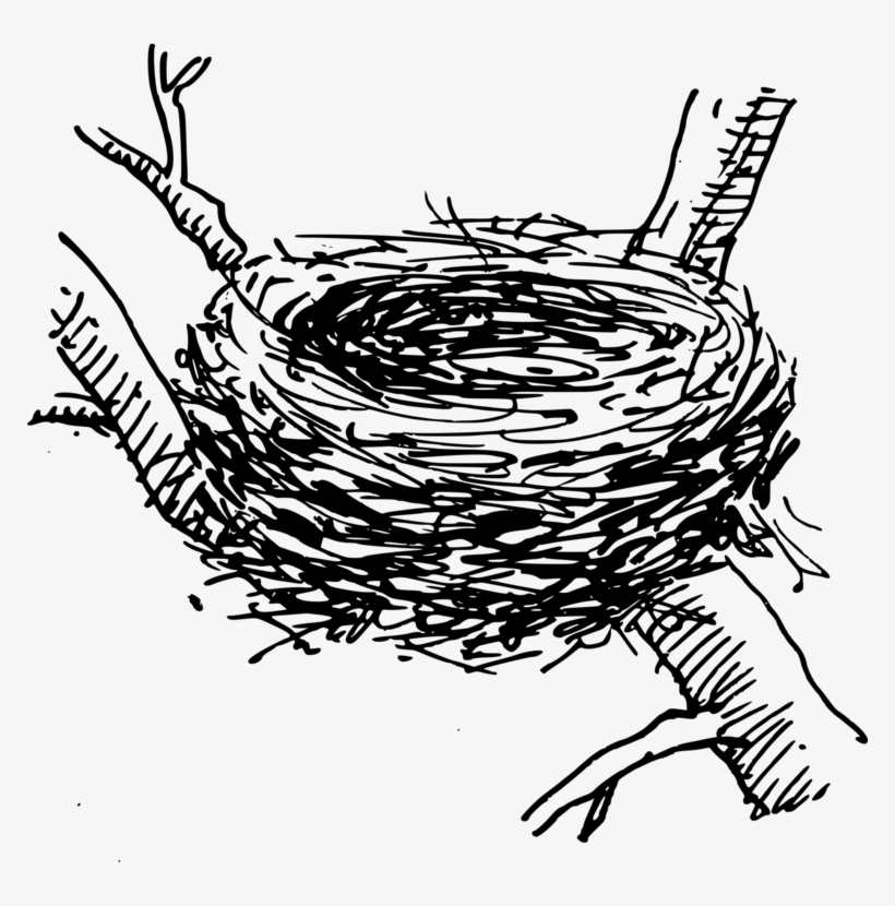 Bird Nest Computer Icons Egg - Crow Nest Clipart, transparent png