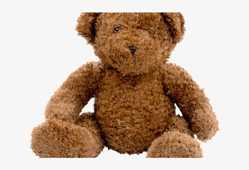 Teddy Bear Png Transparent Images - Sally Creepypasta Movie Poster, transparent png