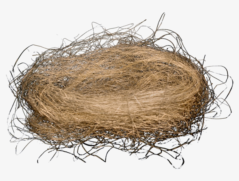 Nest Png, Download Png Image With Transparent Background, - Nido De Paja Png, transparent png