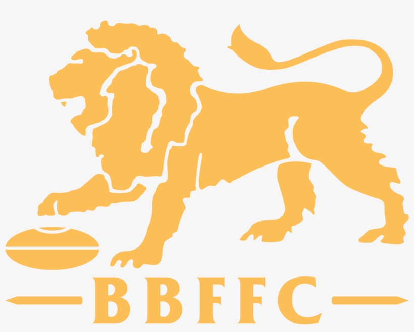 ©2019 Brisbane Lions Football Club - Brisbane Lions Jumper 2017, transparent png