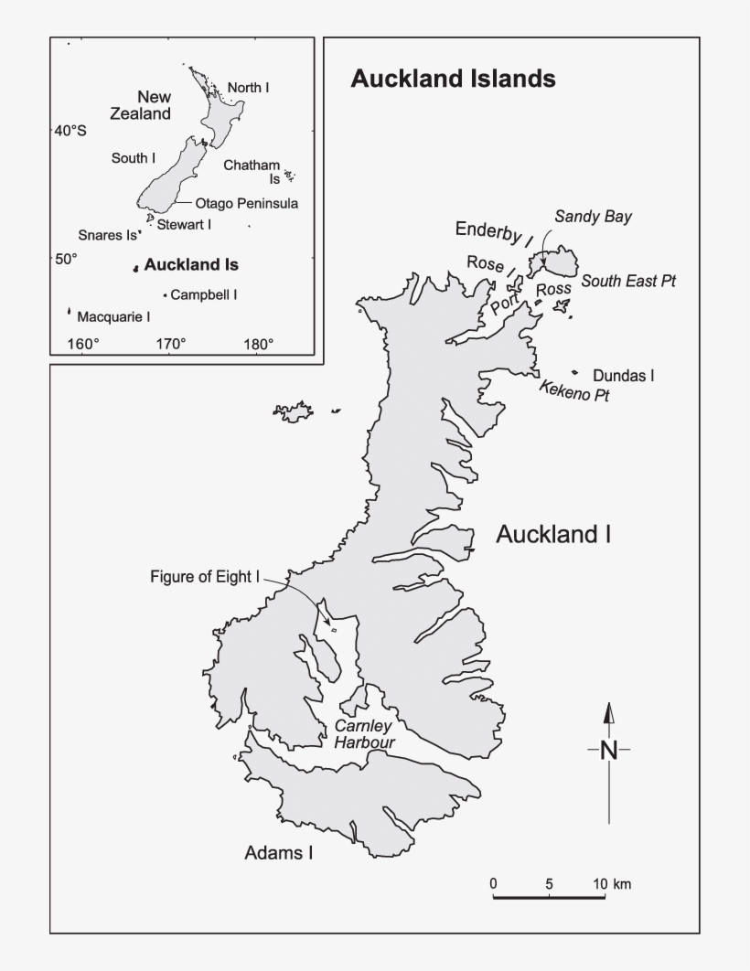 New Zealand Sea Lion Breeding And Haul-out Distribution - Auckland Island Map, transparent png