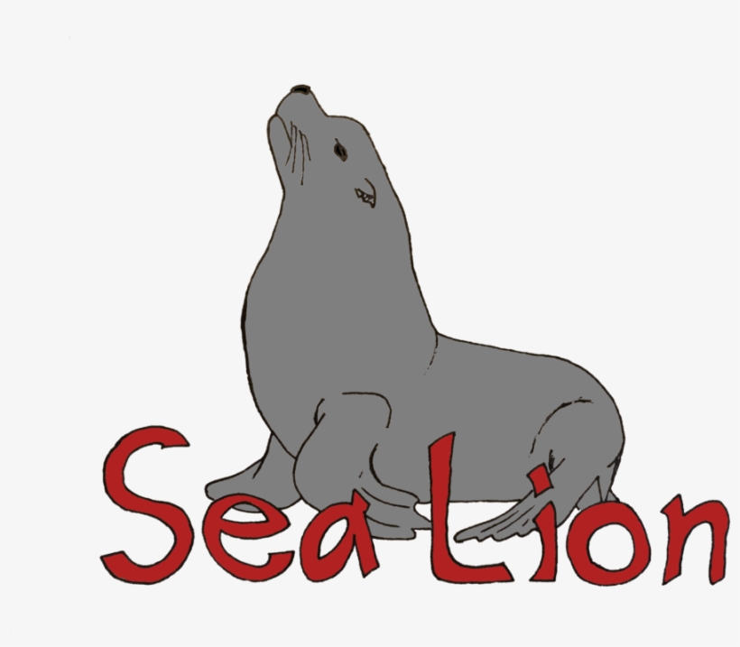 Sea Lion, transparent png