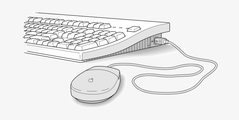 Mouse, transparent png