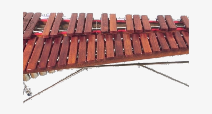 Xylophone Png - Xylophone, transparent png