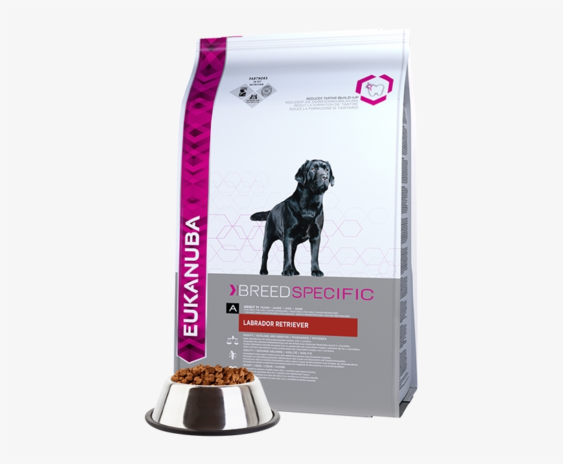 Eukanuba Adult Dry Dog Food For Labrador Retriever - Comida De Perro Labrador, transparent png