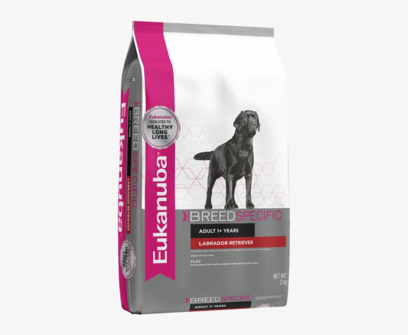 Eukanuba Dog Labrador Retriever - Eukanuba, transparent png