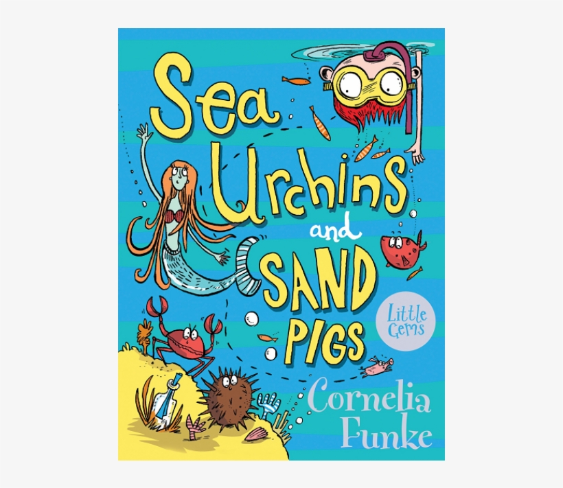 Sea Urchins And Sand Pigs, transparent png