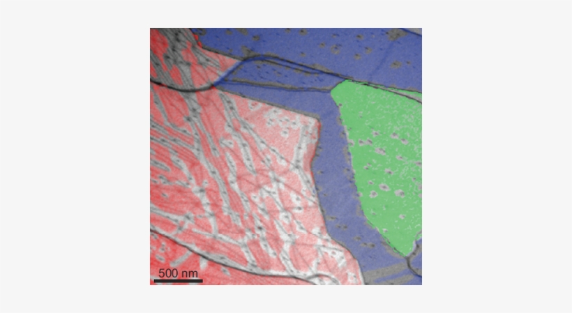 Atoms Use Tunnels To Escape Graphene Cover - Painting, transparent png