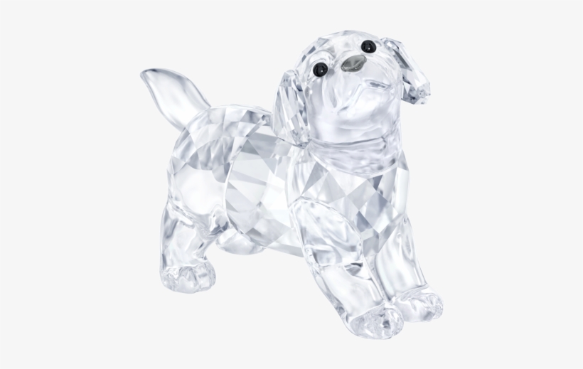 Labrador Swarovski, transparent png
