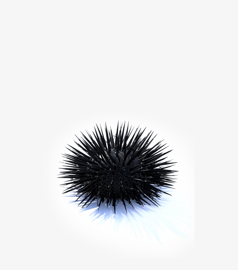 Urchin Vfx, transparent png