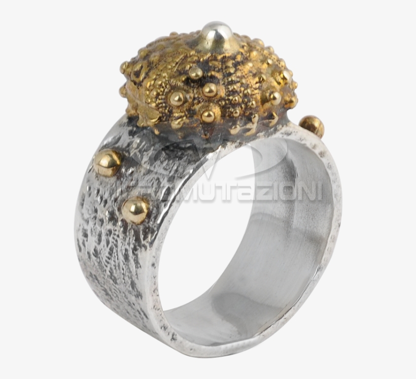 Sea Urchin Silver Ring With Brass Element Rings - Engagement Ring, transparent png