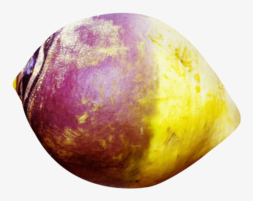 This Png File Is About Brassica Napobrassica , Root - Rutabaga Png, transparent png