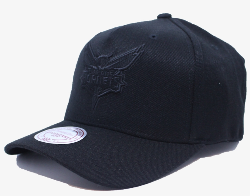 Charlotte Hornets Logo Png, transparent png