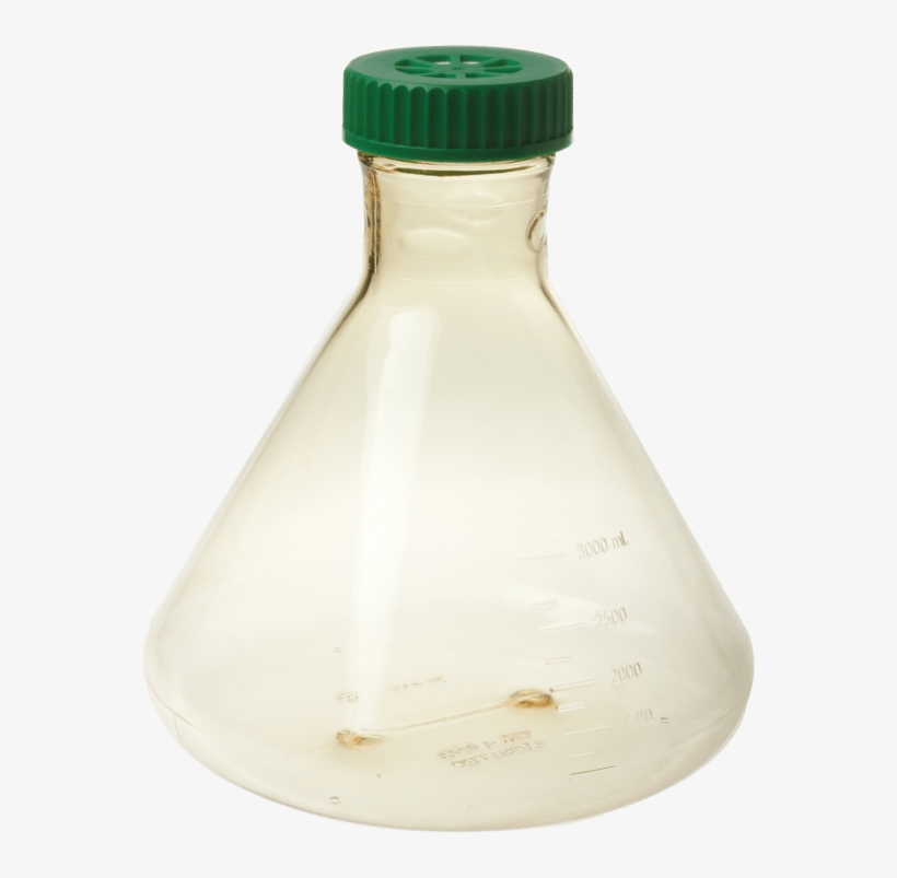 Celltreat Erlenmeyer & Fernbach Flask Expired - Glass Bottle, transparent png