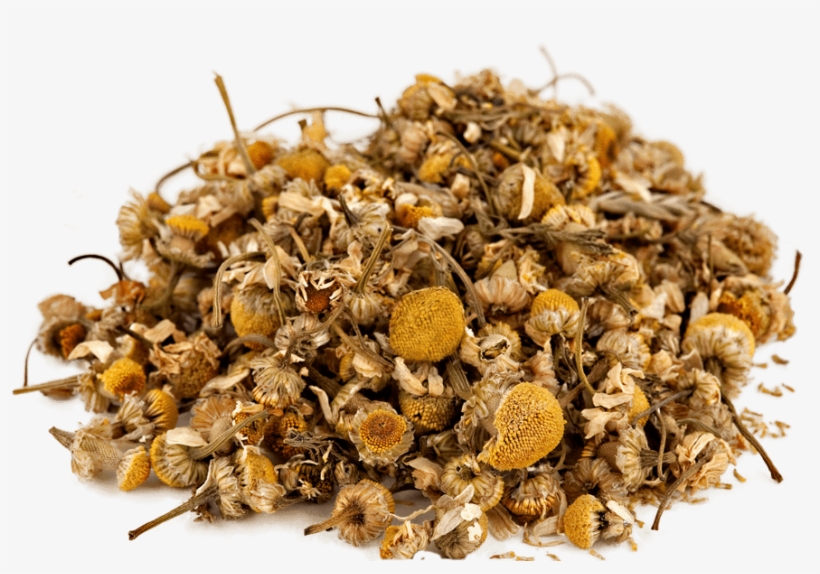 Seed, transparent png
