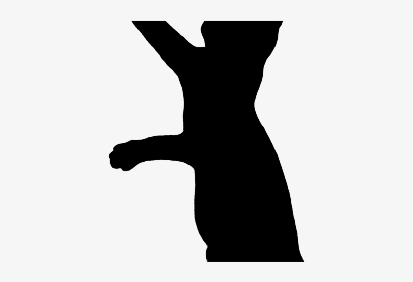 Cats Paws Silhouette - Silhouette, transparent png