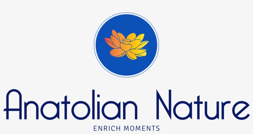 Emblem, transparent png