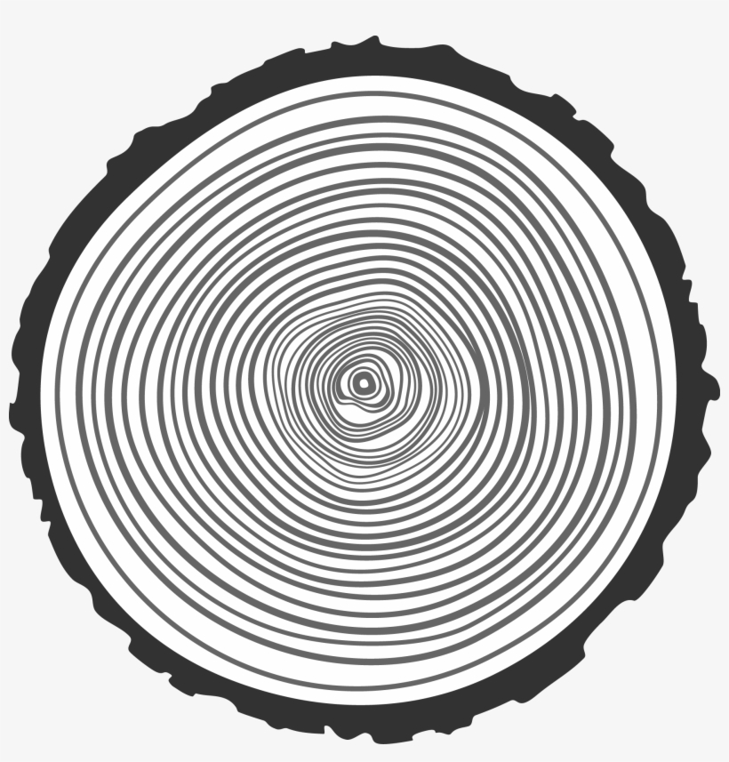 Drawn Ring Hand Drawn - Transparent Tree Ring Png, transparent png
