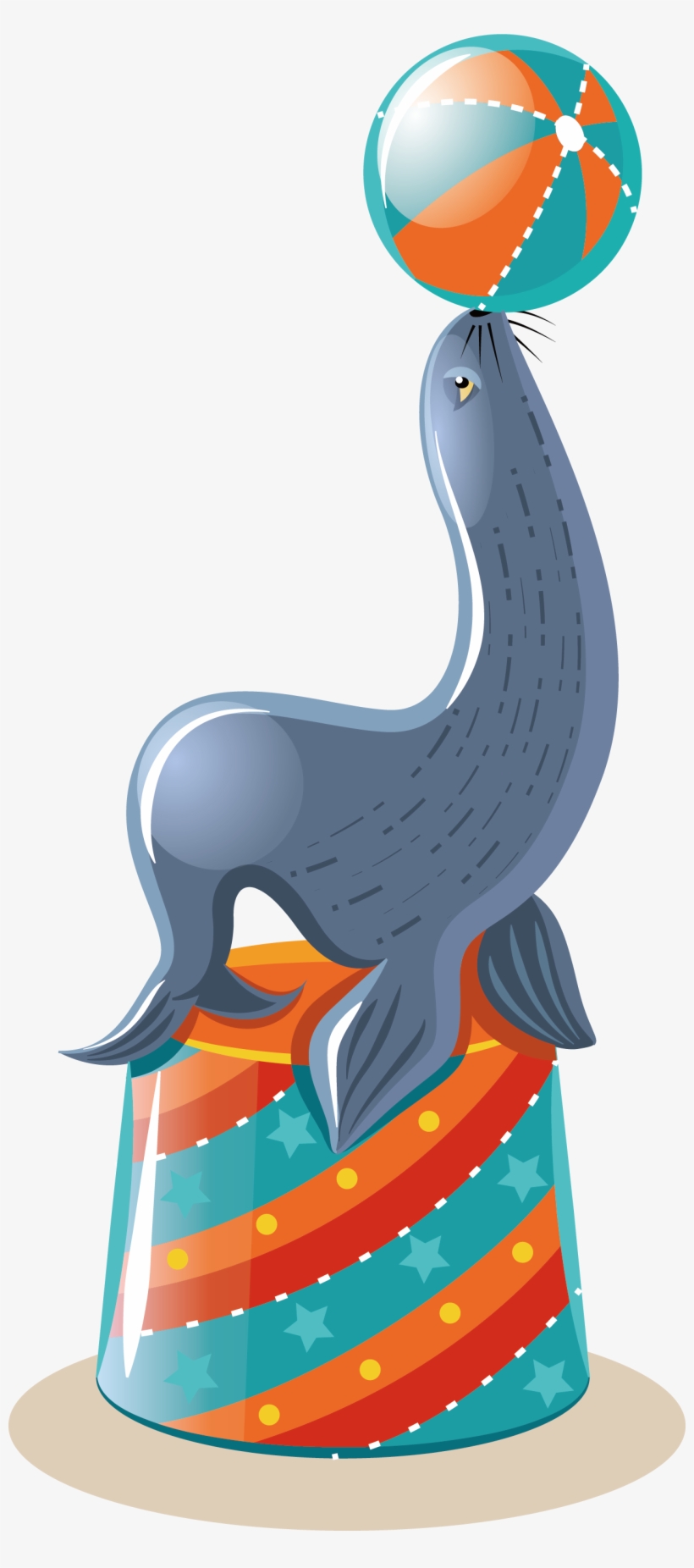 Sea Lion Illustration - Vector Graphics, transparent png