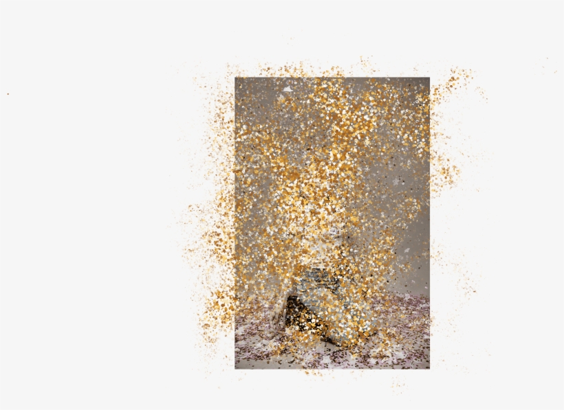 Photographer Of The Confetti Project - Art, transparent png