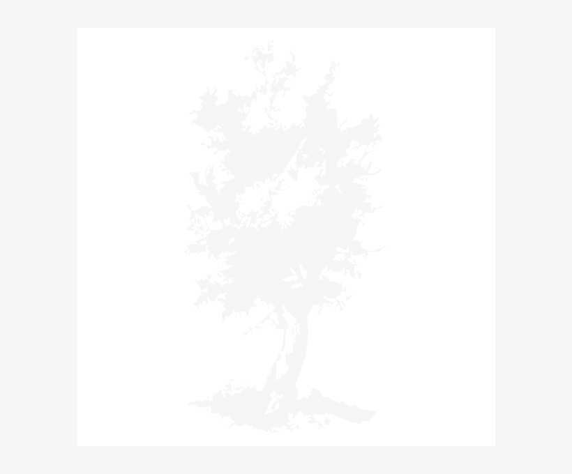 Olivetree - Silhouette, transparent png