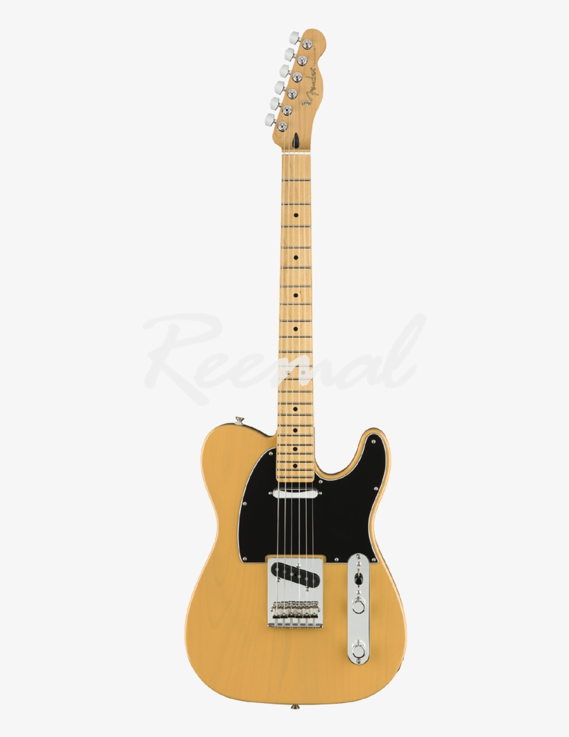 Fender Electric Guitar Player Series Telecaster Maple - Fender Tele Butterscotch Player Series, transparent png