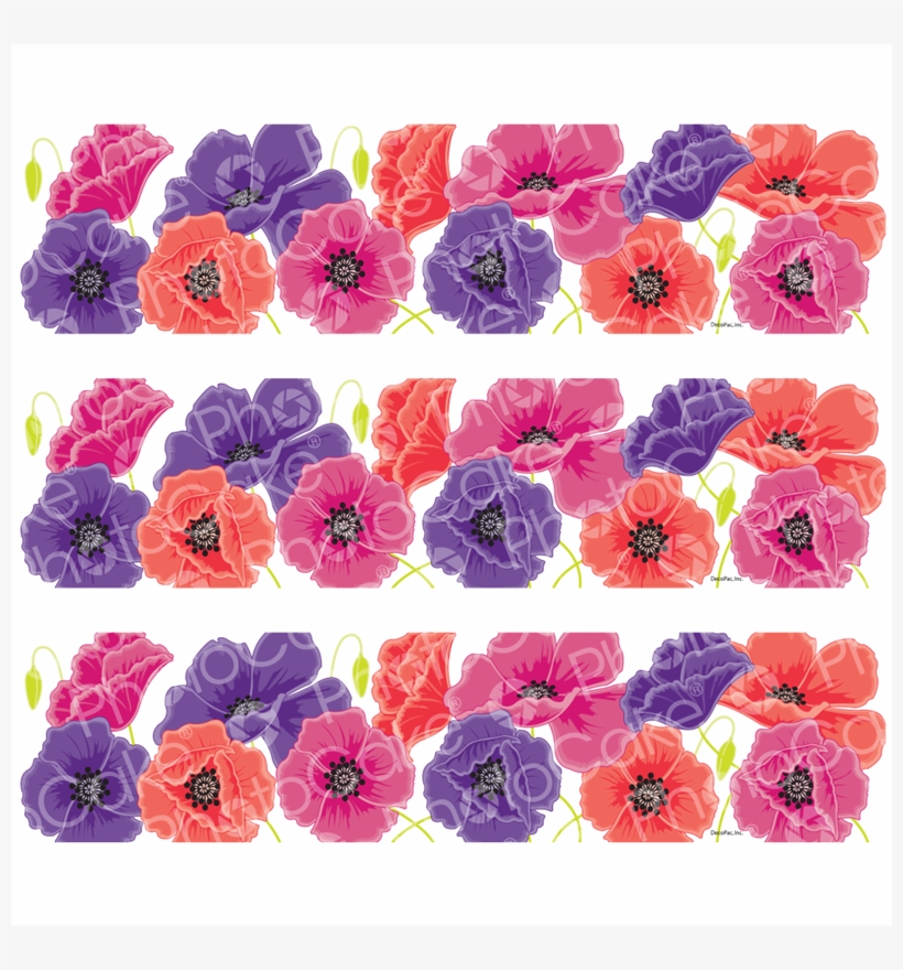 Poppies - Image Strips - Dianthus, transparent png