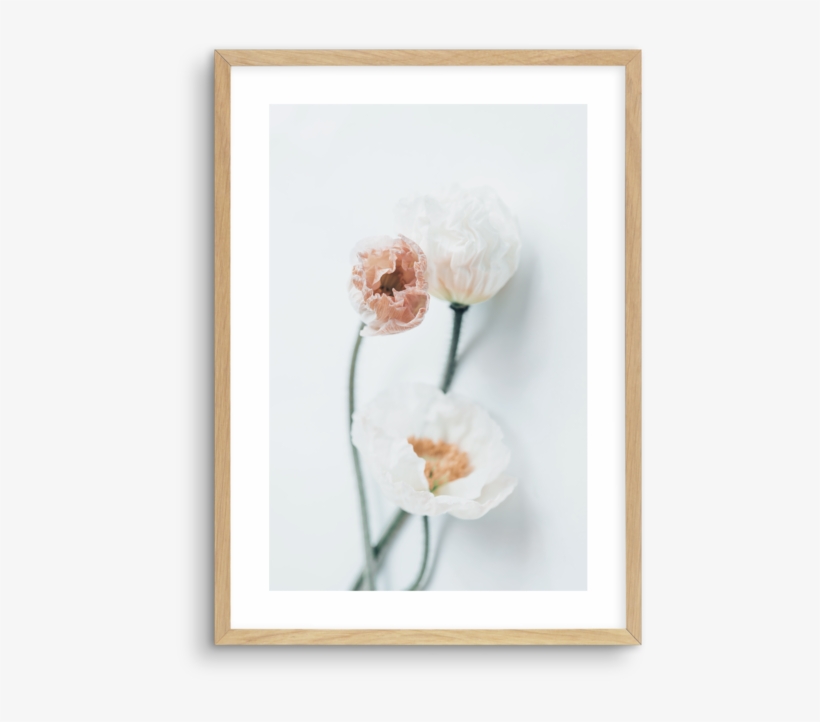 Summer Poppies No 1 - Picture Frame, transparent png
