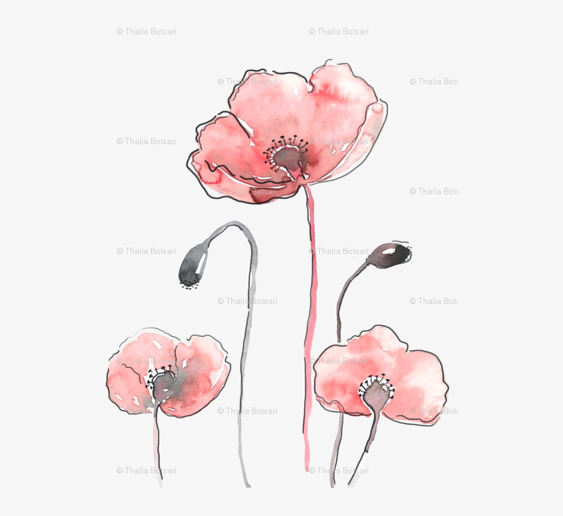 Poppy, transparent png