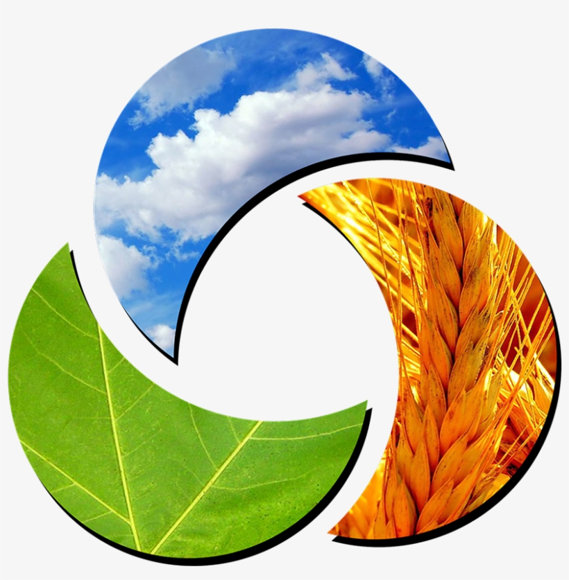 Tres Veces Al Día, Mezclar Las Gotas De H2o En 250 - Circle, transparent png