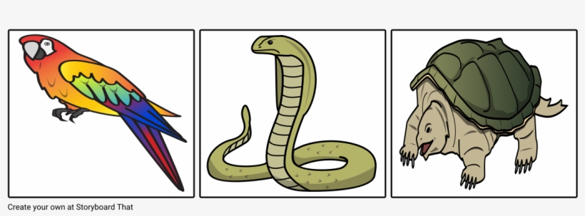 Serpent, transparent png