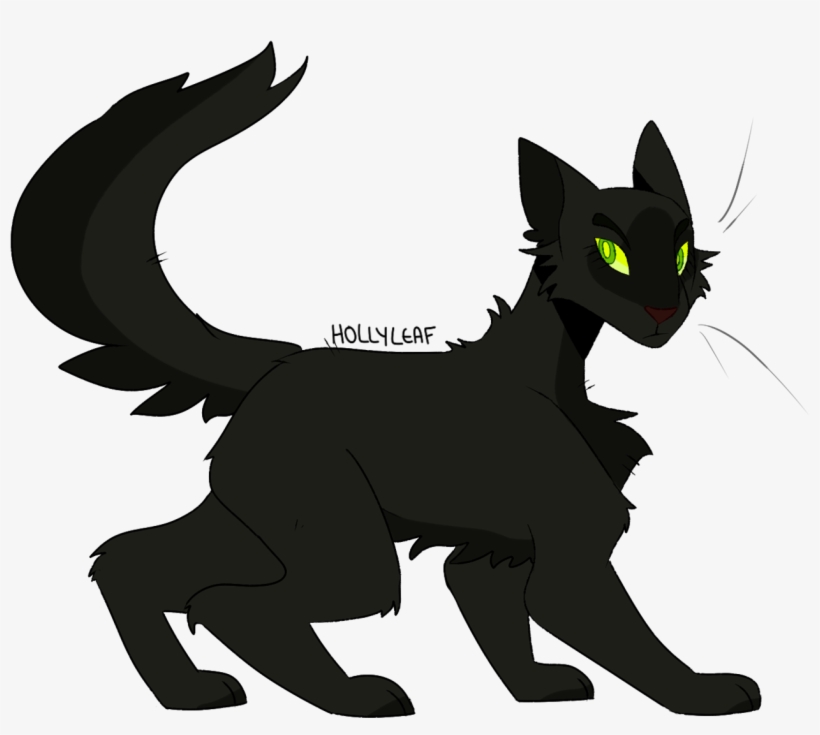 Cat Yawns, transparent png