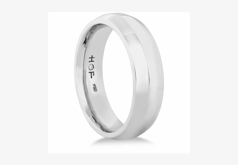 Coupled Metal Band - Titanium Ring, transparent png