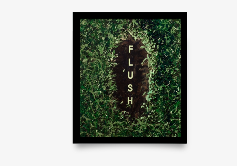 Grass, transparent png