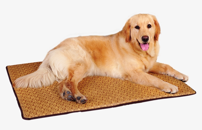 Dog Mat Washable Summer Mat Sleeping Mat Teddy Kennel - Companion Dog, transparent png