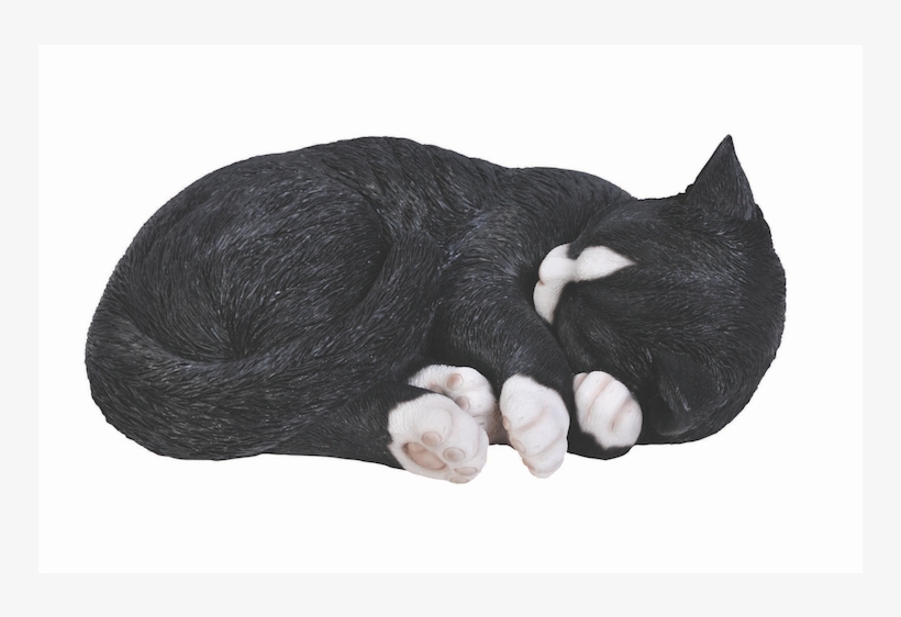Sleeping Black Cat Png, transparent png