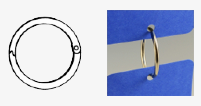 More Views - Circle, transparent png