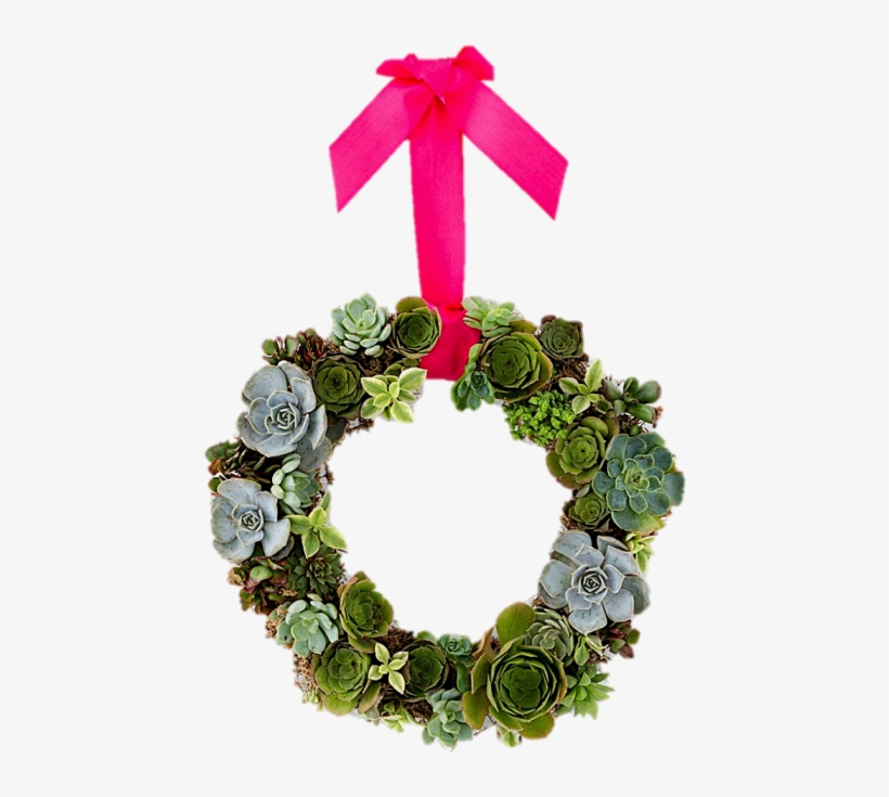Living Succulent Wreath - Wreath, transparent png