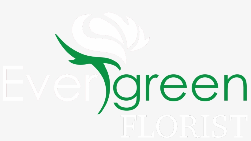 Evergreen Florist - Arena Castelão, transparent png