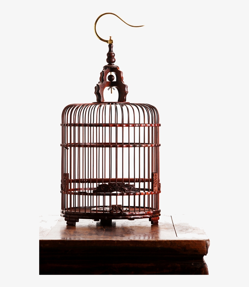 Birdcage Png Pic - Cage, transparent png