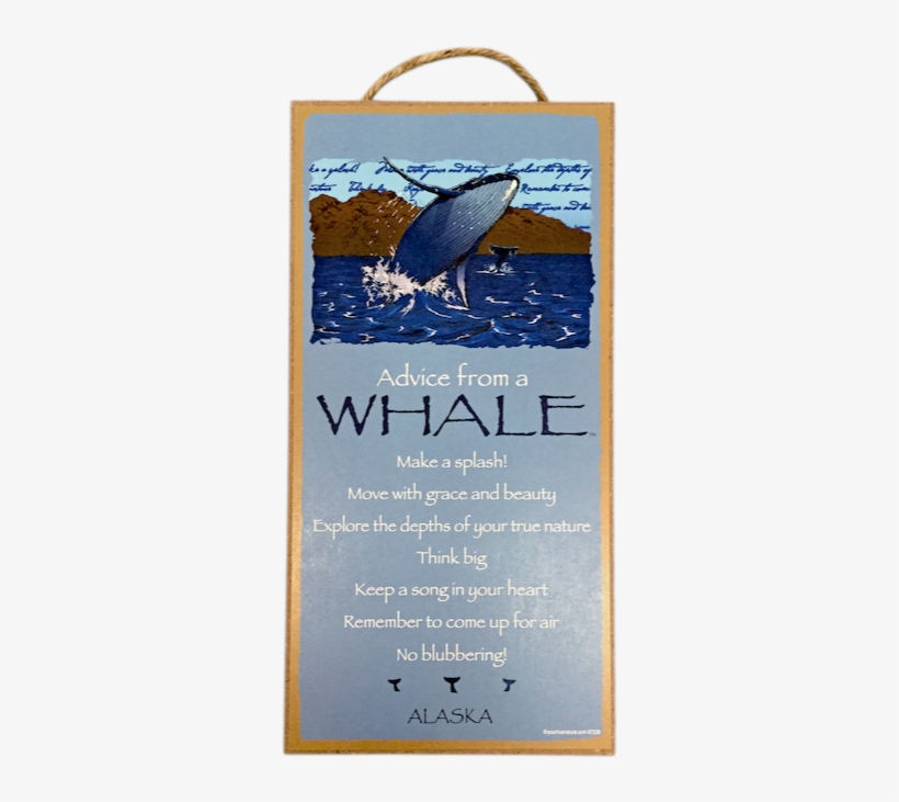 Advice From A Whale Wood Plaque - Poster, transparent png