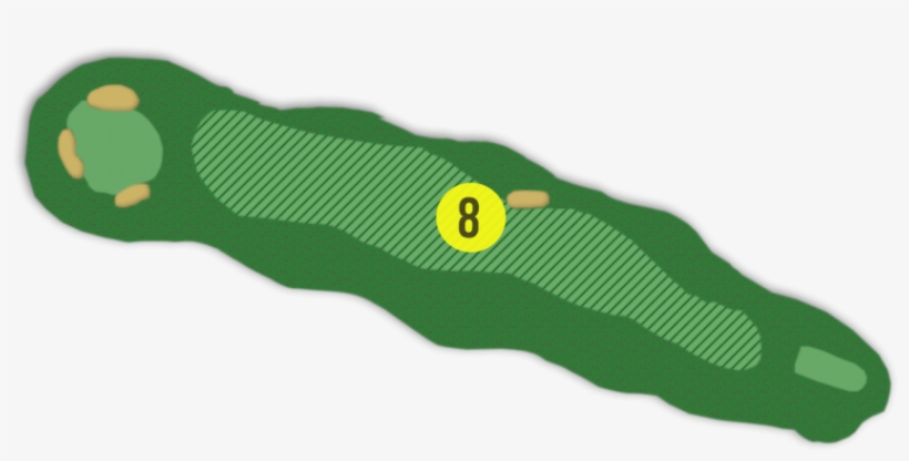 Keep An Eye On The Pin Placement As There Are Some - Waxworm, transparent png