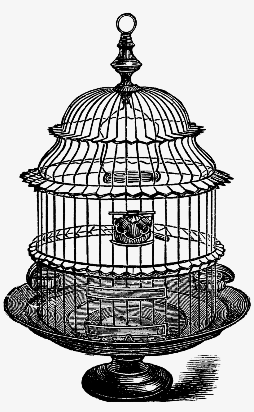 Birdcage Clipart Grey - Birdcage, transparent png