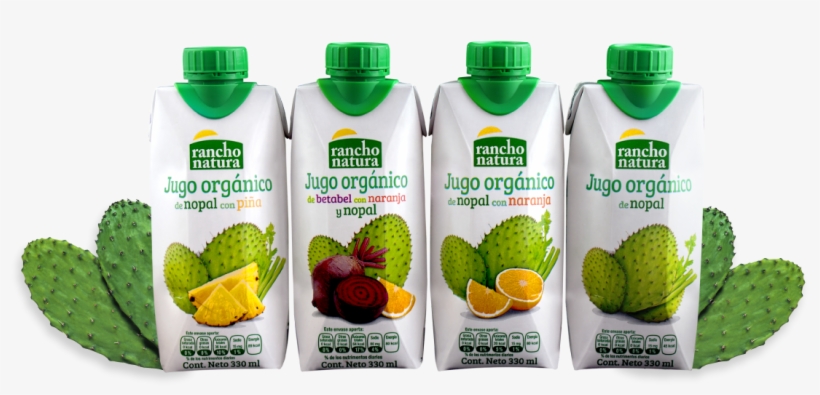 Empresa 100% Mexicana Envasadora De Bebidas Y Alimentos - Jugo De Nopal En Mexico, transparent png