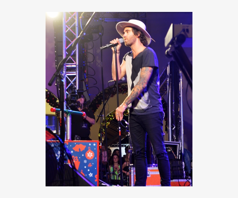 Early Crowd - Rock Concert, transparent png