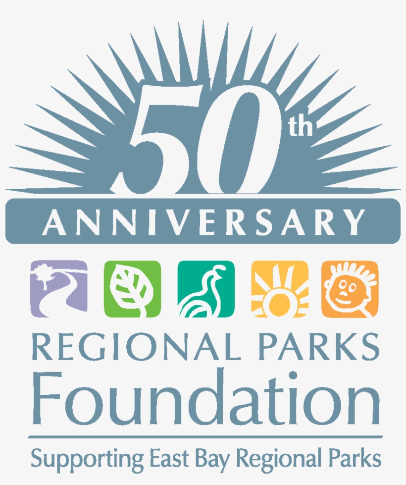 Parker Pen, transparent png