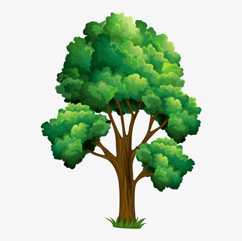 Elm Tree Clipart - Realistic Tree Clip Art, transparent png