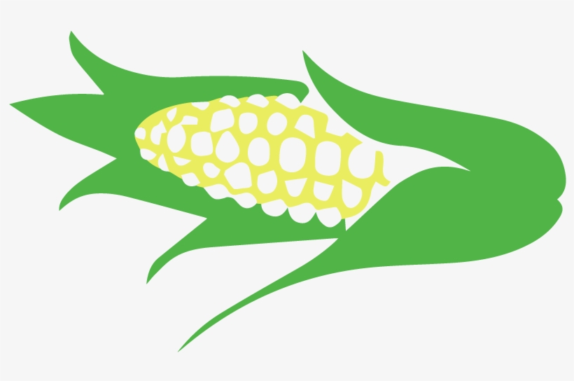 Corn Maze Illustration 800x464 PNG Download PNGkit